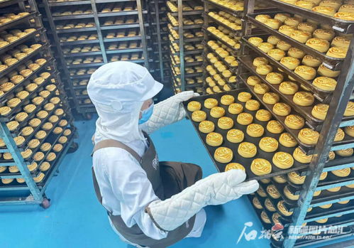 中秋佳節將至，烏魯木齊食品與羽絨制品企業雙線并進迎忙季